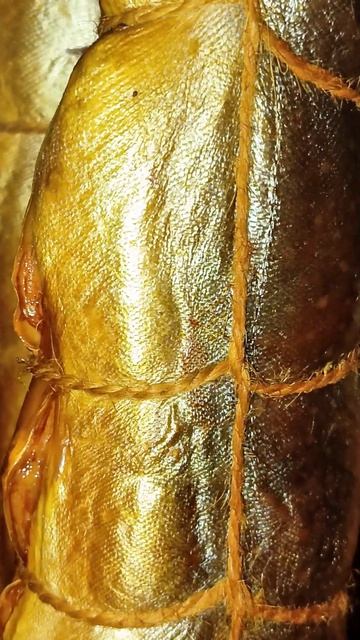 Голец копчёный