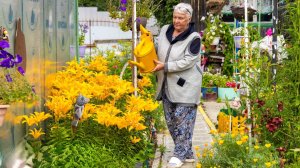 Дачников Ханты-Мансийска приглашают обсудить проблемы и вопросы СНТ