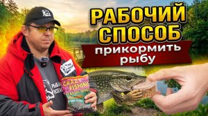 Урок 5. Какую прикормку лучше выбрать, чтобы клевало?