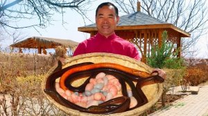 Куриные яички и огромные угри, тушеные в пиве под соусом "Сумасшедший чили". Кухня Китая