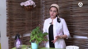 Комплексный уход за комнатными растениями