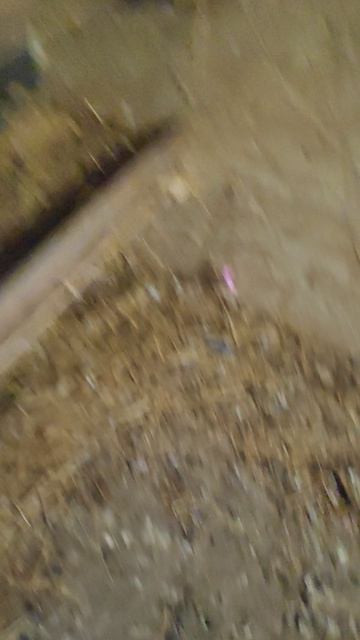 VID_20260415_163749.mp4