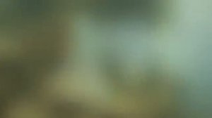 O sleep why dost thou leave me Handel Julianne Baird