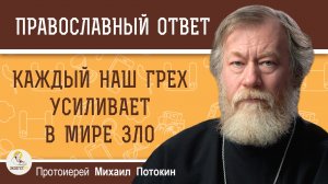 Каждый наш грех усиливает в мире зло.  Протоиерей Михаил Потокин