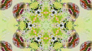 Весна! Очаровательные тюльпаны 10! Киностудия Мудрого Кота Тимофея!