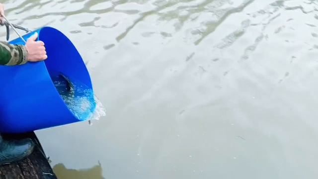 запуск от 15.04.26