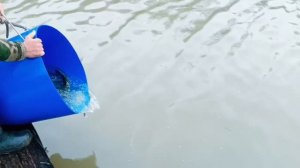 запуск от 15.04.26