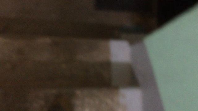 Теорема ЖКХ_Подъезд_2026.04.15-00