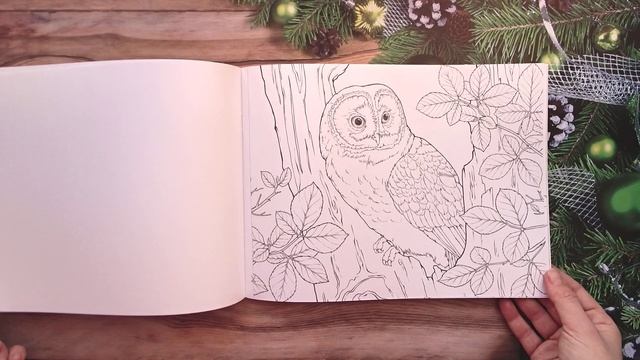 обзор раскраски