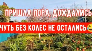 230🏡Пришла пора/Проводила мужа /Высадила огурцы/Чуть без колес не остались/ПП