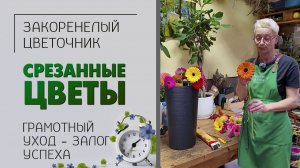 Грамотный уход - залог успеха. Срезанные цветы и букеты не исключение. Главное: знать как!