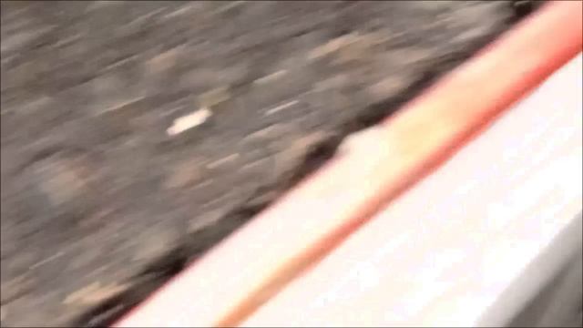 15 апреля 2026 года. Рассада