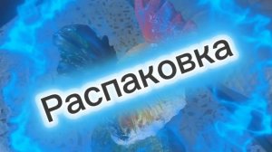 Распаковка саженцев с Вайлдберриз