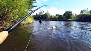 Рыбалка на ленка осенью на воблеры.