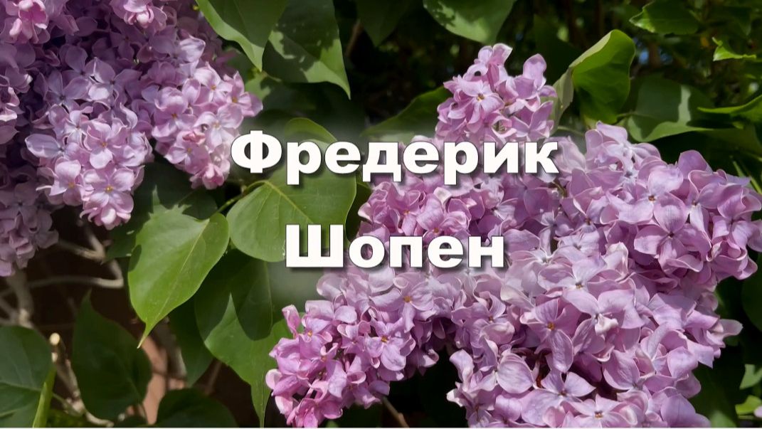 Фредерик Шопен, Ноктюрн До минор, Op.48 №1, классическая музыка