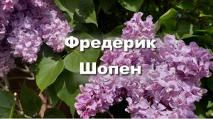 Фредерик Шопен, Ноктюрн До минор, Op.48 №1, классическая музыка