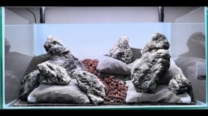 Aquascape Дмитрия Киприна Создание