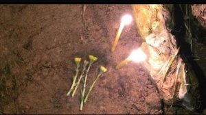 ПУСЁНОК УШЁЛ В ВЕЧНОСТЬ