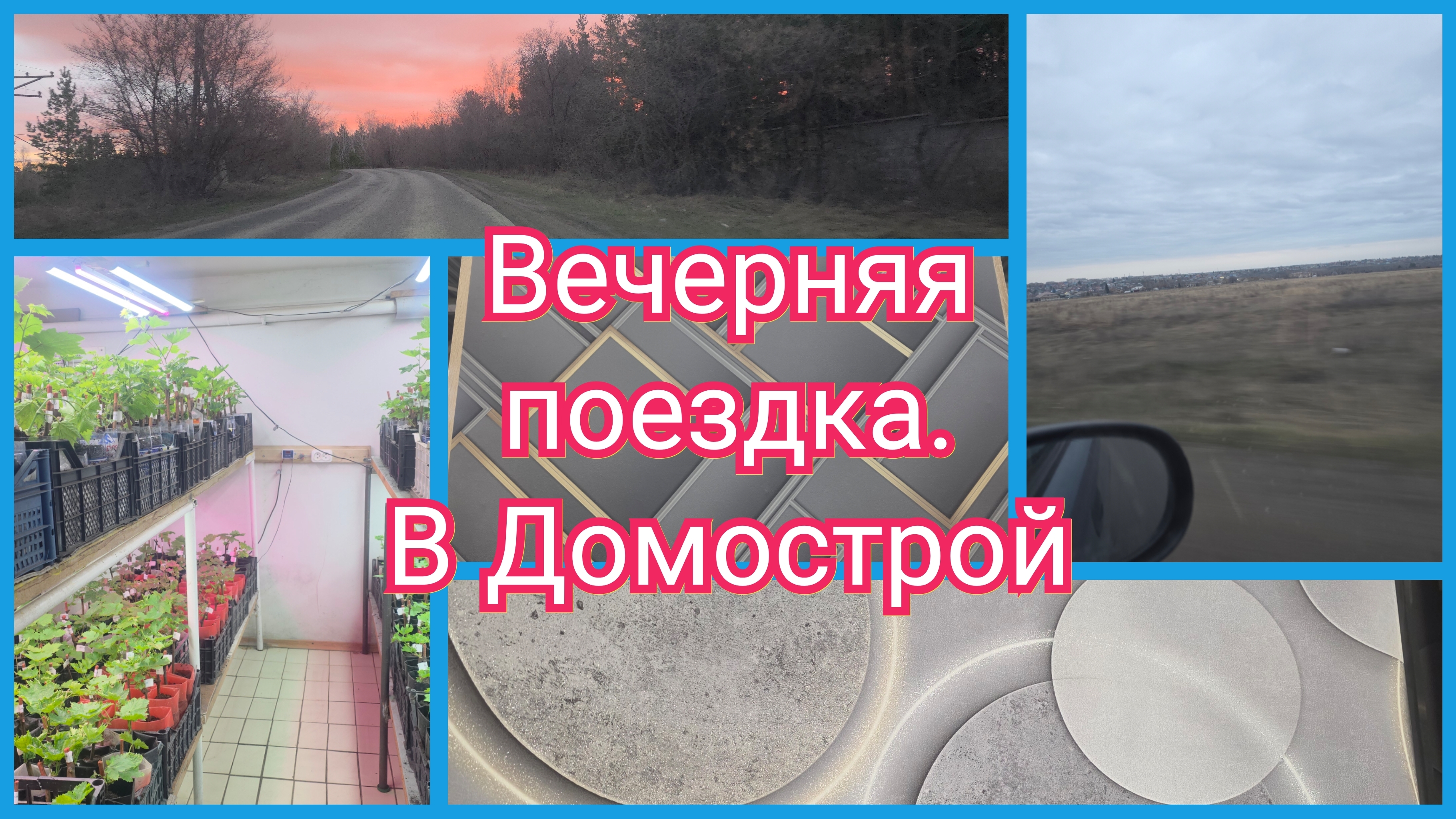 Зимний сад! В Южник за виноградом. Так и ничего не выбрали
