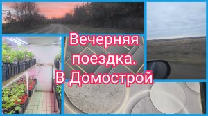 Зимний сад! В Южник за виноградом. Так и ничего не выбрали
