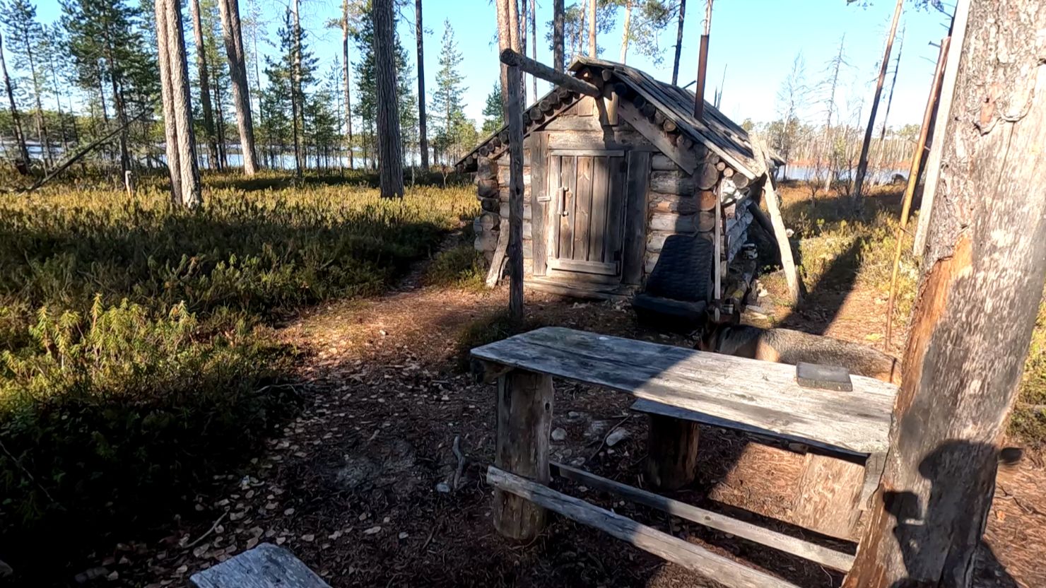 Охотник не знал что ждет его по пути к таежной избе!