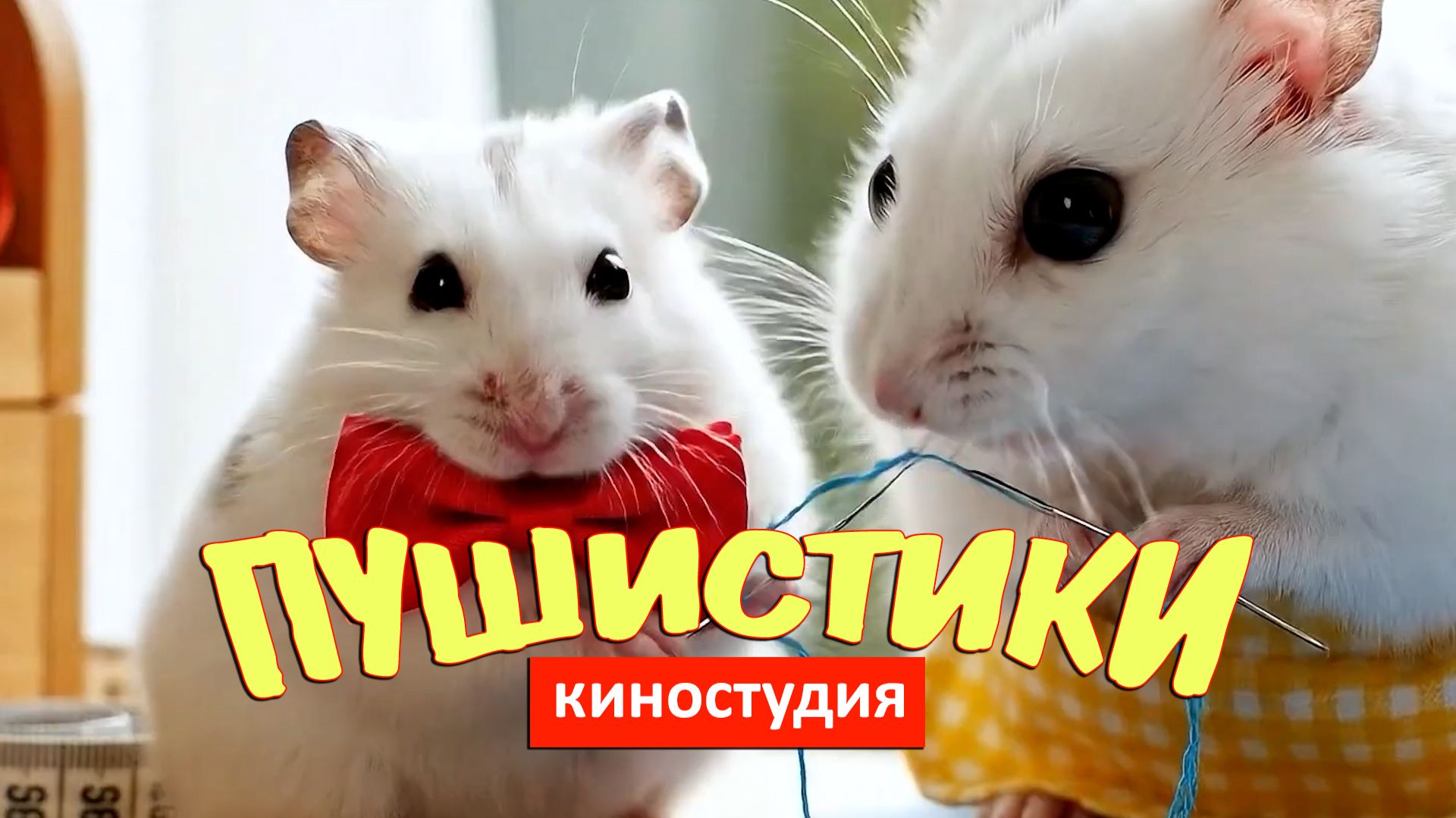 Мультики для детей. Мама хомяк - швея.