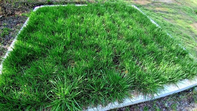 УДИВИТЕЛЬНОЕ РЯДОМ