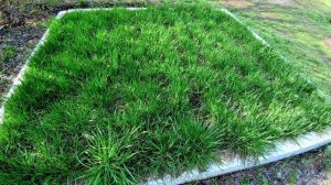 УДИВИТЕЛЬНОЕ РЯДОМ