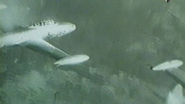 Знаменитые самолёты 23 серия (документальный сериал, 1997)