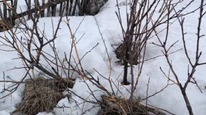 А на даче жизнь не иначе 🫣