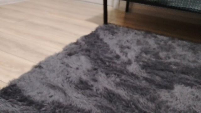 развлекательный комплекс Зверятыши 4 песня для краба#02(серый)