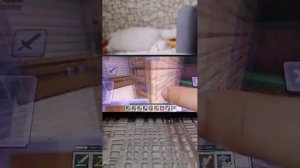 хз чо писать