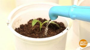 Я б в аграрии пошел! И меня научат! Доброе утро. Фрагмент выпуска от 15.04.2026