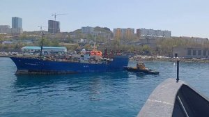 ПАРОХОД ОСТРОВНОЙ -7 ЗАХОДИТ В ПОРТ ВЛАДИВОСТОКА #КРАБОВЩИК  #Владивосток