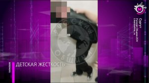 Уголовное дело за издевательства над школьником в Сургуте передано в суд