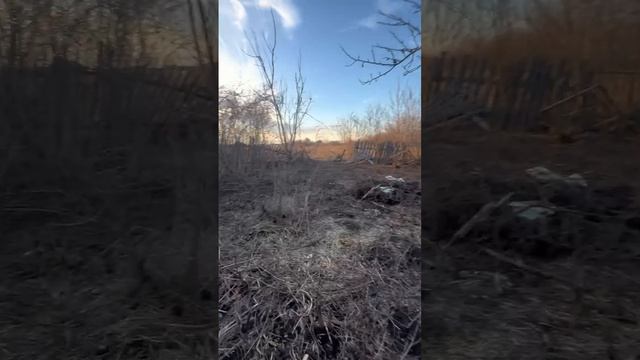 Продается уютный дом в живописном селе Роговатое, общей площадью 43,82 м².