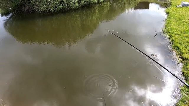 Лучшие воблеры на щуку. Топ 5 воблеров Страйк Про.  Ловля щуки на спиннинг.