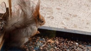 разные белки