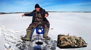 Первый лёд  2025 - 2026. Зимняя рыбалка на окуня.