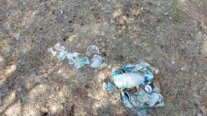 Не люди,а свиньи! Мусор в лесу