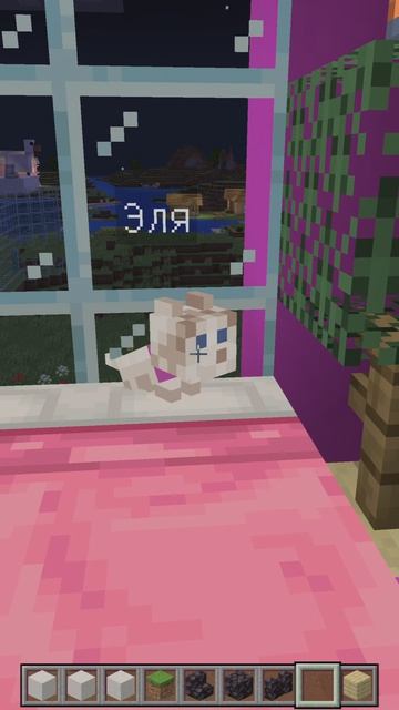 Завела новых котят, смотри в новом видео :)