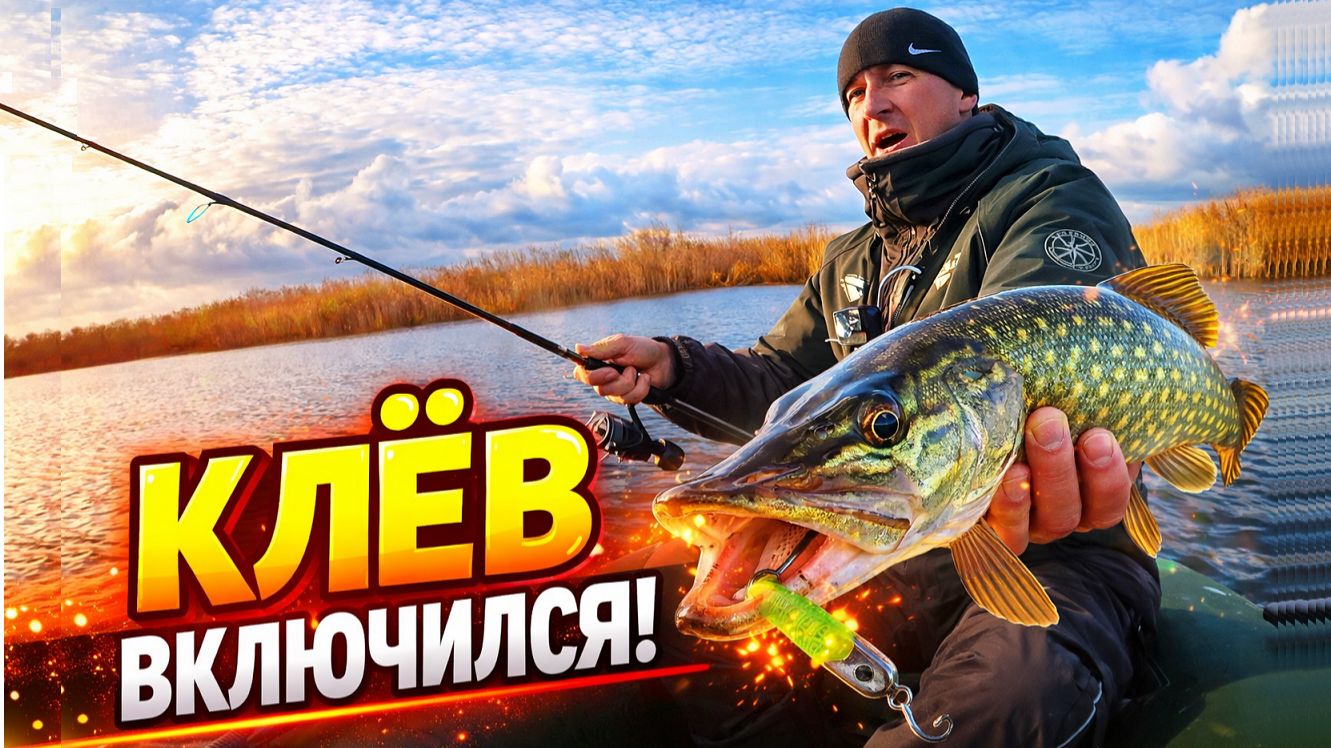 Вот когда НАЧИНАЕТ клевать щука?! Проверено на рыбалке.