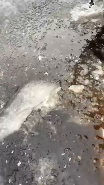 Вышла на 6800