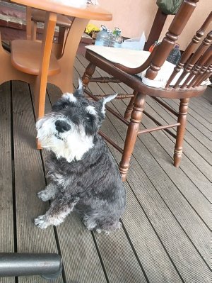 кикешки фильм