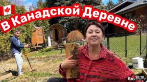 КАК ВЫЖИВАЮТ РУССКОЯЗЫЧНЫЕ ДАЛЬНОБОЙЩИКИ В КАНАДЕ. Дом, уборка огорода, рассада, едем за дровами.