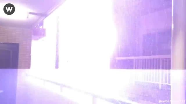 Incredible Moments Caught on Camera _ Best Of Month