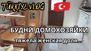 Перемыла всё 😁. Даже животных.