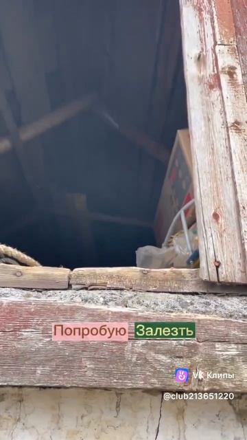 Спасаю сокровища!