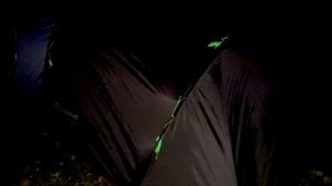 Марк и Весёлое Семейное ПРИКЛЮЧЕНИЕ в лесу для детей