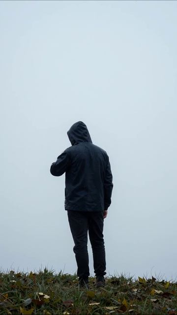 В туманной одиссее: прогулка в молчании #природа #туман #одиночество